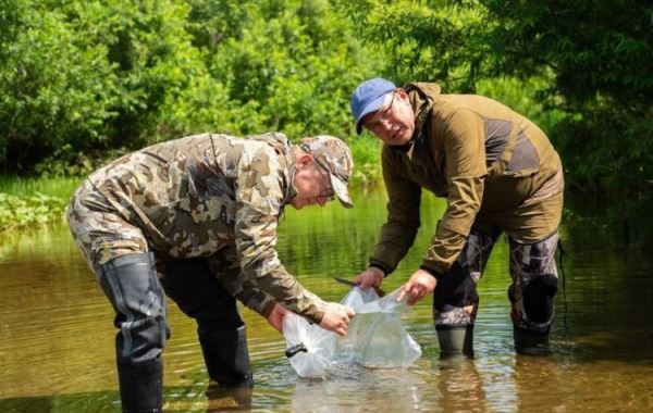 Летом в реки Кузбасса выпустят свыше 200 тысяч мальков ценных рыб